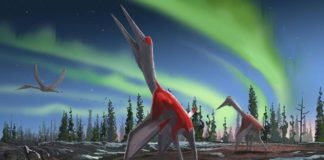 Artist's impression of a Cryodrakon boreas, a newly discovered species of pterosaur