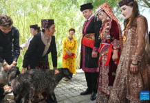 Tajik wedding embodies rural revitalization achievements on Pamir Plateau