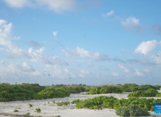 How researchers, locals safeguard ecological harmony in China’s Xisha Islands