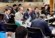 Speakers at Pak-sponsored event call for human-centric AI to bridge global divides, drive sustainable development