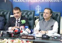 Oil-producing countries interested to store oil in Pakistan under Energy City project: Junaid Anwar