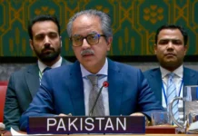 Pakistan urges UN action to protect local communities from global scramble for minerals