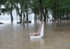 Typhoon Bavi brings heavy rain, flood alerts to north China