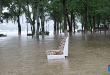 Typhoon Bavi brings heavy rain, flood alerts to north China