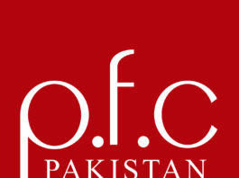 PFC urges national strategy to unlock Pakistan’s digital export potential