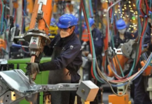 LSMI posted 5.77 % growth in 11 months