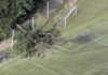 7 injured after 20-meter tree falls during soccer match in central Japan