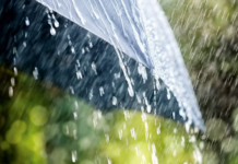 Rain likely across country; Dimla records highest rain