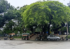 Shimla Park declared biodiversity conservation area in Rajshahi