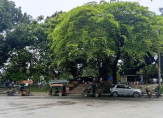 Shimla Park declared biodiversity conservation area in Rajshahi