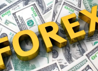 Bangladesh’s gross forex reserves rise to $36.47bn