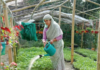 Jahanara’s nursery venture wins national acclaim