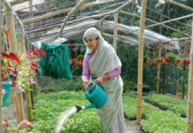 Jahanara’s nursery venture wins national acclaim