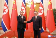 N. Korean, Chinese premiers discuss expanding exchanges, cooperation on 65th anniv. of friendship treaty