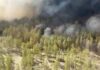 Kazakhstan sees spike in wildfires amid heatwave