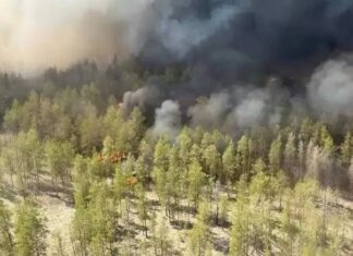Kazakhstan sees spike in wildfires amid heatwave