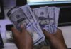 NBP Exchange Rates