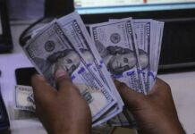 NBP Issues Latest Foreign Exchange Rates